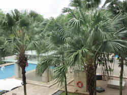 Grange Residences (D10), Condominium #71431841